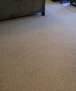 Blue Magic 900 Carpet Stain & Spot Lifter - 22 oz. Aerosol Can 31 81U1ZfsdIQL