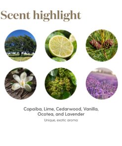 Young Living Stress Away Essential Oil Blend - Calming Scent of Lime, Cedarwood, Vanilla & Lavender - 5ml Bottle for Relaxation On-The-Go. Cedarwood,Vanilla,Lavender 0.17 Fl Oz (Pack of 1) 14 81U5ohKjZUL