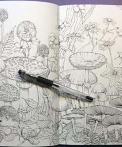 Mori ga kanaderu rhapsody. Rhapsody in the forest.(Coloring Book Japan Edition) 44 81UD3kBIYfL