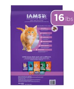 Alternative view of IAMS PROACTIVE HEALTH Healthy Kitten Dry Cat Food with Chicken Cat Kibble, 16 lb. Bag Dry Food 16.00 Pound (Pack of 1)