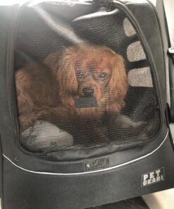 Pet Gear I-GO2 Roller Backpack, Travel Carrier, Car Seat for Cats/Dogs, Mesh Ventilation, Included Tether, Telescoping Handle, Storage Pouch 22.0"L x 13.5"W x 16.0"H 48 81UDYMK6zL