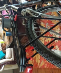 Planet Bike Eco bike rack Black 52 81UGpdLqfdL