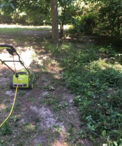 Sun Joe MJ401E 14-Inch 12-Amp Electric Lawn Mower w/Collapsible Handle for Storage, 3-Position Height Control, 10.6-Gallon Bag, Green Original Version 52 81UHX1NnF2L