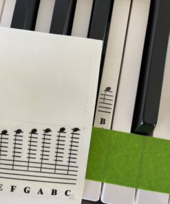 Piano and Keyboard Music Note Full Set Stickers for White and Black Keys; Transparent and Removable; Made in USA 38 81UHXovCuRL