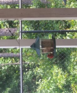 Ogrmar Hanging Gazebo Wild Bird Feeder -Perfect for Garden Decoration and Bird Watching for Bird Lover and Kids (Green) 37 81UIw1WpFKL