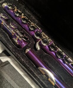 Glory Closed Hole C Flute With Case, Tuning Rod and Cloth,Joint Grease and Gloves Purple 15 81UJ0TYD6DL