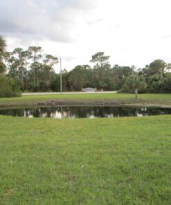 Jenlis The Original Weed Razer, Lake Weed Cutter, Large Pond Aquatic Plant Cutting Tool, Long and Sharp Razor Blades Shear Cattail, Reed, Lilly & Chara Algae, 48 Inch Cut Width, 25 Foot Throw Rope 49 81UQUOedOzL 2