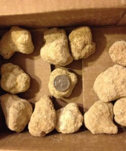 Break Your Own Geodes - Set of 12 - STEM Toy and Classroom Learning 32 81URo21YL