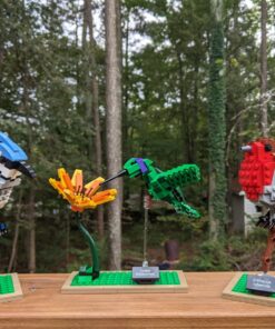 LEGO Ideas 21301 Birds Model Kit 30 81UZOjEvRJL