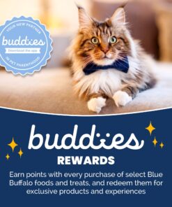 Blue Buffalo Cat Food, Natural Chicken Recipe, Wilderness High Protein, Adult Dry Cat Food, 12 lb bag 12 Pound (Pack of 1) 29 81UZrehp90L