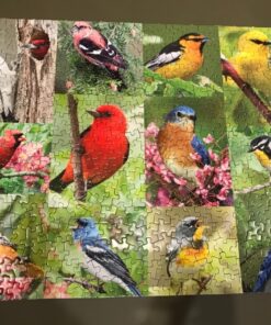 Springbok Birds of a Feather 500 piece Jigsaw Puzzle for Adults features a photo collage of colorful American birds 21 81UgwlRpvaL