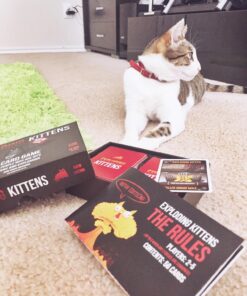 NSFW by Exploding Kittens - Card Games for Adults & Teens - A Russian Roulette Card Game (Package May Vary) EK NSFW 28 81UhzMMYe7L