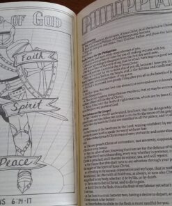 KJV Holy Bible, My Creative Bible, Faux Leather Flexcover - Ribbon Marker, King James Version, Pink Floral 68 81UjJ79SJiL 1