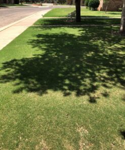 Scotts Halts Crabgrass & Grassy Weed Preventer, Pre-Emergent Weed Killer for Lawns, 5,000 sq. ft., 10.06 lbs. 5,000 sq. ft. 13 81UjRnct70L