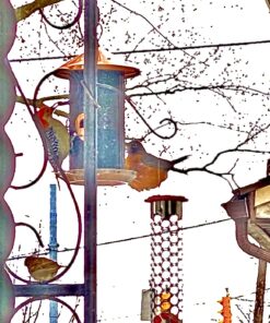 Cottage Garden 12 inch Copper Finish Heavy Duty Mesh Metal 3 Lb. Dual Nut and Seed Bird Feeder Copper Tone 15 81Uk5o4Q1fL