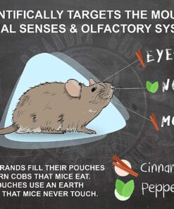 Grandpa Gus's Extra-Strength Mouse Repellent, Cinnamon/Peppermint Oils Repel Mice from Nesting & Freshen Air in Car/RV/Boat/Garage/Shed/Cabin, 1.75 Oz (10 Pouches) 1.75 Ounce (Pack of 10) 20 81UkLE4JoPL 1