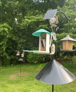 NETVUE Birdfy Smart Bird Feeder with Camera - Auto Capture & Identify 6000+ Species, Free AI Forever, Ideal Gift for Birdwatching and Bird Lovers Blue 37 81Ullt8Y2bL