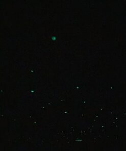 Realistic 3D Domed Glow in The Dark Stars,606 Dots for Starry Sky, Perfect for Kids Bedding Room Gift(606 Stars) (1*Green) 1*Green 52 81UmA5N DCL