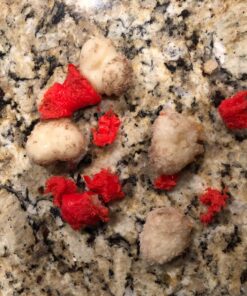 Nylabone Power Chew Double Bone Long Lasting Chew Toy for Dogs Medium - Up to 30 lbs. Medium up to 35 lbs. 40 81UoHoAJAYL