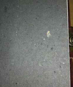 Leather Celtic Tree of Life Book of Shadows Blank Spell Book Wicca 5" Brown 42 81UtwKHkBRL