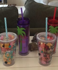 Maars Drinkware Bulk Double Wall Insulated Acrylic Tumblers with Straw and Lid (Set of 12), 16 oz, Clear 12 Count (Pack of 1) 32 81UwzfmkodL