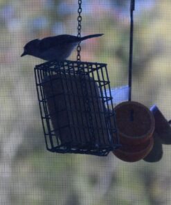 Wildlife Sciences High Energy Suet Cake 10 Pack 39 81UzvVwMprL