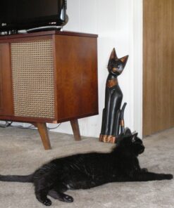 Purina ONE Natural Cat Food for Hairball Control, +PLUS Hairball Formula - 16 lb. Bag Chicken 16.00 Pound (Pack of 1) 43 81V1aYwliCL