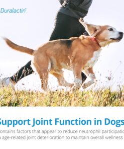 Duralactin 180 Count Chew Tablets, 1000mg, Vanilla Flavor 14 81V5hNflAL