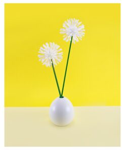 Q-TIPS SWABS Cotton Club ct, 625 Count, (Pack of 3) 625 Count (Pack of 3) 13 81V8h7IJdaL