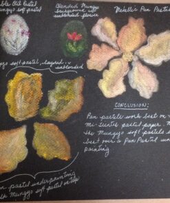 Mungyo Non Toxic Square Chalk, Soft Pastel, 64 Pack, Assorted Colors (B441R078-7003A) 37 81V8l797AVL