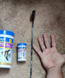 API TROPICAL FLAKES Fish Food 5.7-Ounce Container 5.7 Ounce (Pack of 1) 24 81VDNda1KhL