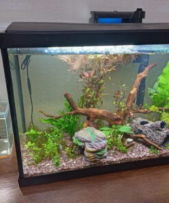 Marina CUBUS Glass Betta Kit – Elegant Glass Aquarium for Homes or Offices 38 81VEv8NfCRL