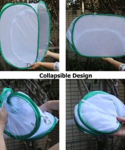 Trasfit Pop-up Insect and Butterfly Habitat Cage Terrarium - 24 Inches Tall 41 81VGiNCWceL