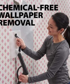 Wagner Spraytech 0282014 915e On-Demand Steam Cleaner & Wallpaper Removal, Multipurpose Power Steamer, 18 Attachments Included (Some Pieces Included in Storage Compartment) For Floor 915 Steam 41 81VMybjz CL