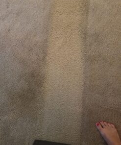 Bissell BigGreen Commercial 49G5-1 Carpet Cleaner, Advanced Formula, Triple Action Cleaning, 52 oz. 30 - 40 ounces 13 81VVMoxxLlL