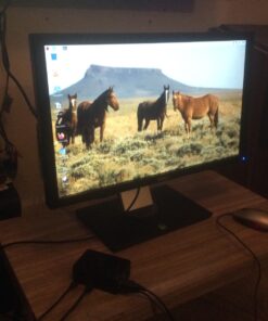 Rankie DVI to HDMI Adapter, 2-Pack Gold-Plated 1080P Male to Female Converter (Black) Black 28 81VZLy42vFL