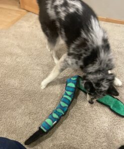 Outward Hound Durablez Tough Plush Squeaky Dog Toy, Snake, Blue, XL Blue Snake 46 81VcZPHK57L