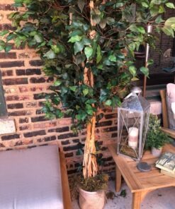 Nearly Natural 6' Palace Style Silk Artificial Ficus Tree, 6ft, Green 5216 6 ft 36 81VhqqktIL