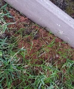 Scotts EZ Seed Patch & Repair Sun and Shade Mulch, Grass Seed, Fertilizer Combination for Bare Spots and Repair, 4 lb 3.75 lb. 1 Pack 45 81VkUxHPWIL