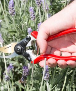 Haus & Garten PrecisionPRO 8" Titanium Pruning Shears - Heavy Duty Professional Bypass Pruner - Use As Rose Clippers, Premium Gardening Secateurs, Garden Scissors, Handheld Yard, Tree, & Plant Tool 27 81Vo7Z53ebL