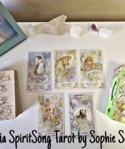 Spiritsong Tarot 58 81Vx xVlvQL