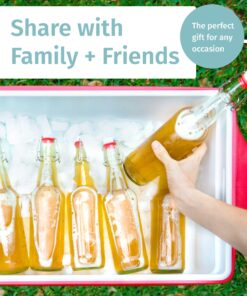 Otis Classic Swing Top Glass Bottles - Set of 6, 16oz w/Marker & Labels - Clear Bottle with Caps for Juice, Water, Kombucha, Wine, Beer Brewing, Kefir Milk or Eggnog 29 81Vyf52MgL