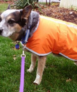 Zack & Zoey Nor'easter Blanket Coat for Dogs, 20" Large, Orange 1 L (Neck: 17", Girth: 28", Back: 20") 33 81W2i yYFvL 3