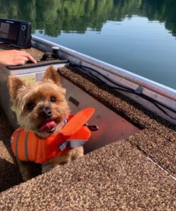 Outward Hound Granby Splash Orange Dog Life Jacket, Small Granby (Flotation) Small (Chest Girth: 16"-20") 52 81W4FLJCOWL