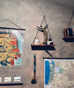 Bates Paint Roller - Paint Brush, Paint Tray, Roller Paint Brush, 11 Piece Home Painting Supplies, Foam Brush, House Painting Tray, Painting Tools, Roller and Paint Brushes, Interior Paint Brushes 9 Inch 34 81W5 QvpODL