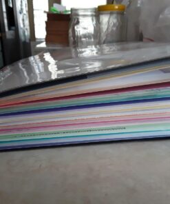 Smead Project Organizer, 24 Pockets, Grey with Assorted Bright Tabs, Tear Resistant Poly Material, 1/3-Cut Tabs, Letter Size (89206) 24 Pocket Yellow, Pink, Lime, Blue, Purple 30 81W6OB1LIVL