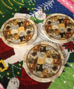 Thirstystone 4-pc. Kitten Collage Coaster Set 5 81W7GtOIyrL