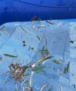 Swimline 8039 Premium Extra Strong Leaf Skimmer Net Head Cleaner for Swimming Pool Spa Fountain Pond Hot Tub Leaves Bugs Debris Fine Cleaning Maintenance, Heavy Duty Large, Blue Premium (Molded) 34 81WAG9 Yd6L