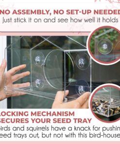 Wild Birds of Joy Bird House Window Bird Feeder with 4 Super Strong Suction Cups & Locking, Sliding Seed Tray, Extra Large, Clear Acrylic, Outdoor Bird Feeders, Outside View of Cardinal and Blue Jay 17 81WFwjDkd0L 2