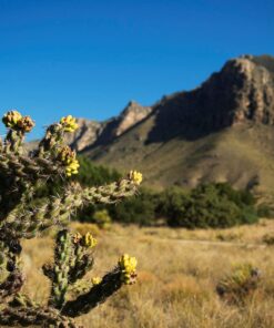 OM SYSTEM OLYMPUS M.Zuiko Digital 40-150mm F4.0-5.6 R Black For Micro Four Thirds System Camera, 3.75x Zoom Lens, Portable Design Standard Packaging 85 81WHxHjaOBL